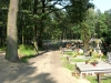 Cmentarz Wrzosowa 5